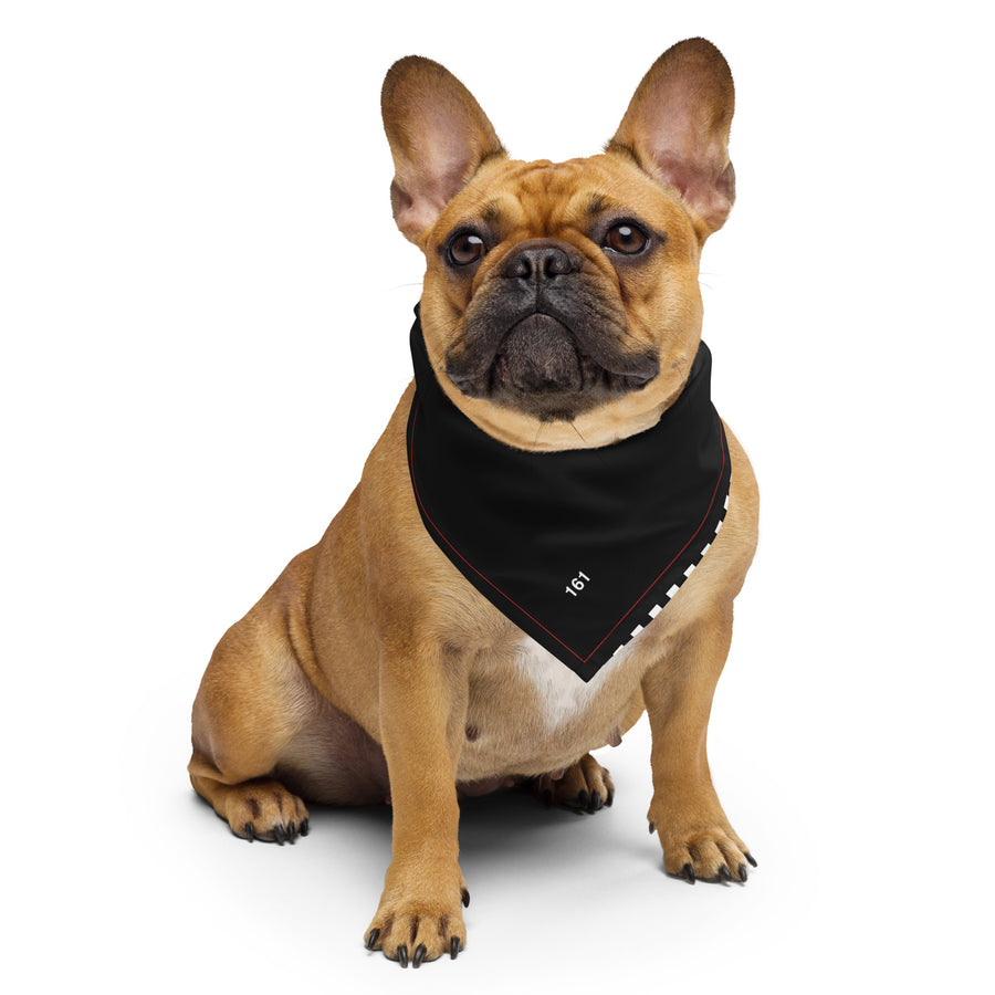 Rudie Resistance Bandana – Vorderansicht S – 161.sharp